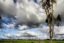 中国男子体操运动员肖若腾，已任北京先农坛体校副校长中国青年报.