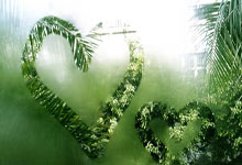 考文垂当选国际奥委会第十任主席 为史上首位女性主席2025-03-21.