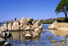 狂言专栏 | 灰熊内讧,猫哥扛起火箭,表男恐赛季报销.